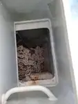 ફેરી જહાજ વેચાણ માટે
