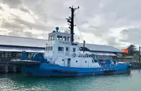 ટોવબોટ વેચાણ માટે