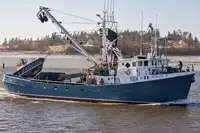 Purse seiner વેચાણ માટે