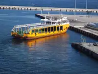 ક્રૂઝફેરી વેચાણ માટે