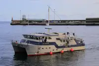 સર્વે જહાજ વેચાણ માટે