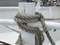 ટ્રોલર વેચાણ માટે