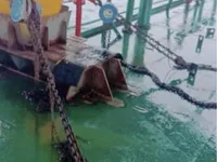 બાર્જ વેચાણ માટે