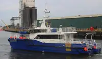 Wind farm service vessel વેચાણ માટે