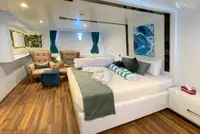 ડાઇવ સપોર્ટ વેચાણ માટે