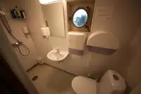 બલ્ક કેરિયર વેચાણ માટે