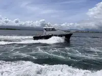 પાયલોટ બોટ વેચાણ માટે