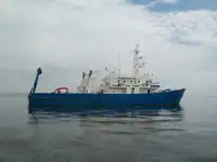 મલ્ટી-પર્પઝ વેચાણ માટે
