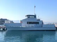 કેટામરન વેચાણ માટે