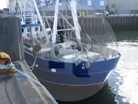 બીમ ટ્રોલર વેચાણ માટે