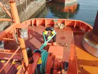 ટોબોટ વેચાણ માટે