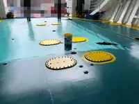 રો-રો જહાજ વેચાણ માટે