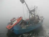 પર્સ સીનર વેચાણ માટે