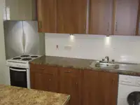 ડ્રેજર વેચાણ માટે