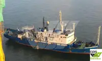 ડાઇવ સપોર્ટ વેચાણ માટે