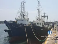 ટ્રોલર વેચાણ માટે