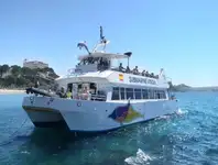 પેસેન્જર જહાજ વેચાણ માટે
