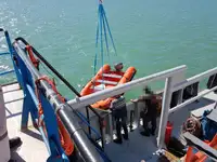 ટોબોટ વેચાણ માટે
