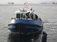 ટોબોટ વેચાણ માટે