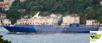 Ro-Ro ship વેચાણ માટે
