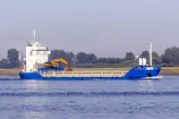 બલ્ક કેરિયર વેચાણ માટે