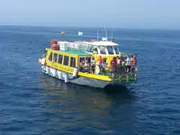 ફેરી જહાજ વેચાણ માટે