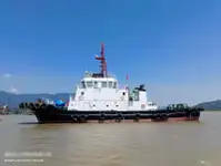 ટોવબોટ વેચાણ માટે