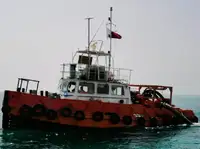 ટોવબોટ વેચાણ માટે