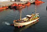 પેસેન્જર જહાજ વેચાણ માટે