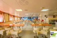 ડાઇવ સપોર્ટ વેચાણ માટે