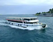 ફેરી જહાજ વેચાણ માટે