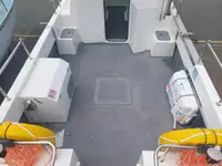 ટ્રોલર વેચાણ માટે