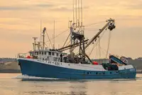 Purse seiner વેચાણ માટે