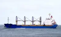 બલ્ક કેરિયર વેચાણ માટે