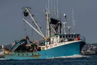 Purse seiner વેચાણ માટે