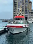 પેટ્રોલ બોટ વેચાણ માટે