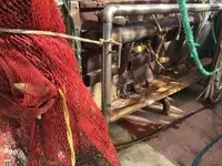 ટ્રોલર વેચાણ માટે
