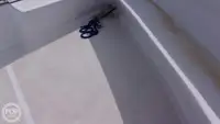ડાઇવ સપોર્ટ વેચાણ માટે