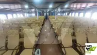 રો-રો જહાજ વેચાણ માટે