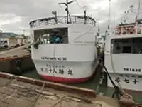 લોંગલાઇનર વેચાણ માટે