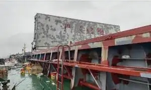 બલ્ક કેરિયર વેચાણ માટે