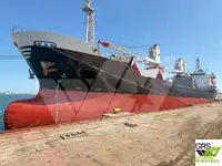 બલ્ક કેરિયર વેચાણ માટે