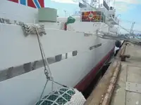 પેટ્રોલ બોટ વેચાણ માટે