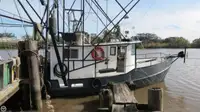 Trawler વેચાણ માટે