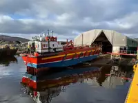 Ro-Ro ship વેચાણ માટે