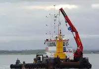 ટોબોટ વેચાણ માટે