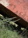 બાર્જ વેચાણ માટે