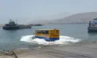 એમ્ફિબિયસ વેચાણ માટે