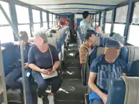 એમ્ફિબિયસ વેચાણ માટે