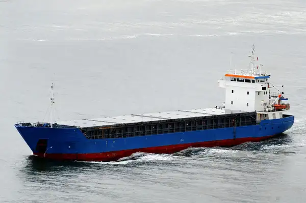 Bulk carrier for sale
